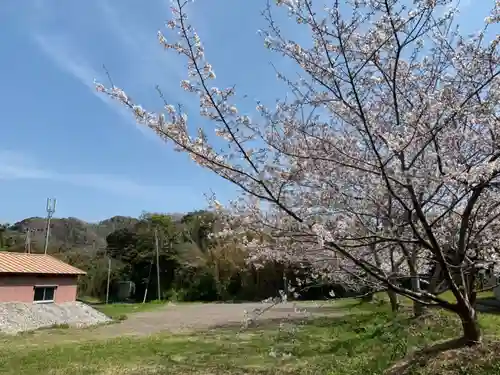 諏訪神社の自然