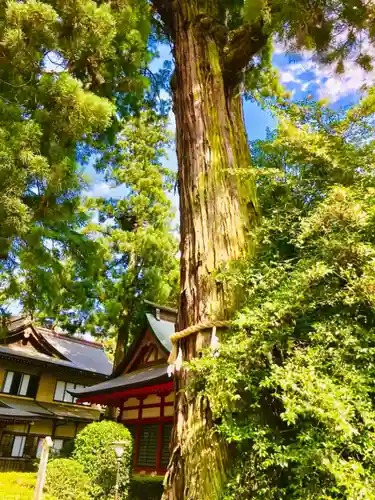 香取神宮の自然