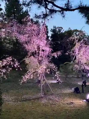 平安神宮(京都府)