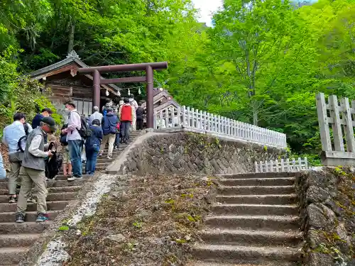 戸隠神社奥社(長野県)