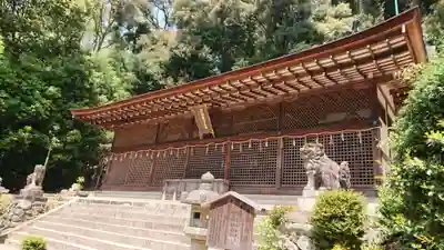 宇治上神社の本殿・本堂