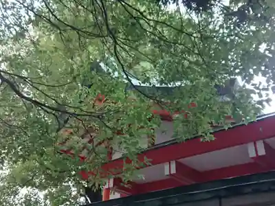 泥江縣神社の本殿・本堂