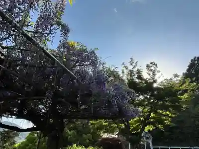 高野口八幡神社の{uncategorized: "未分類", other: "その他", undefined: "問題あり", building: "その他建物", grave: "お墓", sacred_gate: "鳥居", guardian: "狛犬", statue: "像", buddha: "仏像", history: "歴史", nature: "自然", garden: "庭園", animal: "動物", pagoda: "塔", temizu: "手水舎", mountain_gate: "山門・神門", sanctuary: "本殿・本堂", subordinate: "末社・摂社", art: "芸術", scenery: "景色", jizo: "地蔵", ema: "絵馬", goshuin: "御朱印", omikuji: "おみくじ", items: "授与品その他", amulet: "お守り", goshuincho: "御朱印帳", eats: "食事", festival: "お祭り", votive_dance: "神楽", shichigosan: "七五三参", wedding: "結婚式", experience: "体験その他", initially: "初詣", around: "周辺", anti_infection: "感染症対策"}