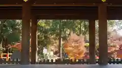 賀茂別雷神社（上賀茂神社）の自然