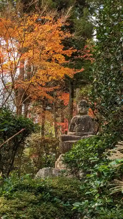 龍安寺(京都府)