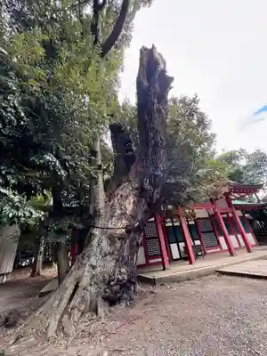 角鹿神社(福井県)
