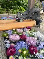 川越八幡宮の手水舎