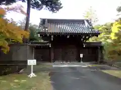 明治神宮(東京都)