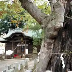 阿邪訶根神社の本殿