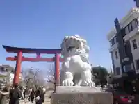 鶴岡八幡宮の狛犬