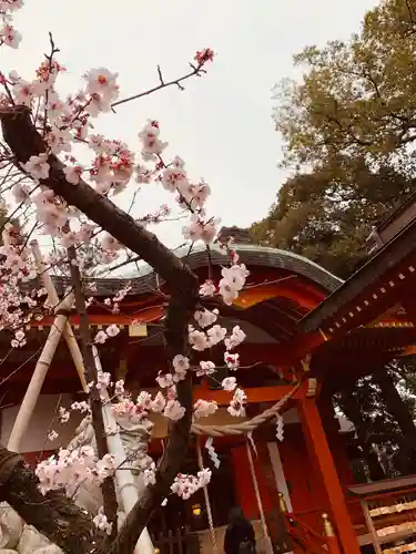 自由が丘熊野神社の自然