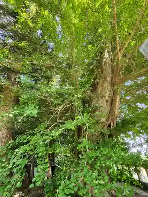 鹿嶋神社(茨城県)