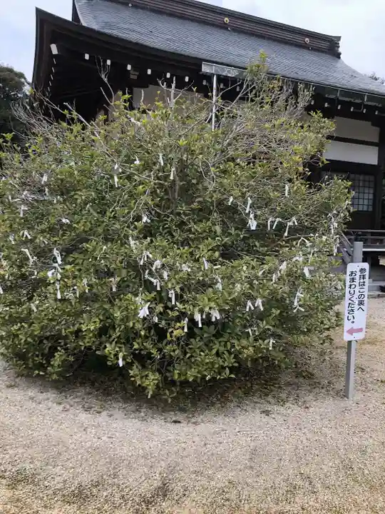 藤樹神社(滋賀県)