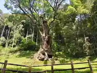 武雄神社(佐賀県)