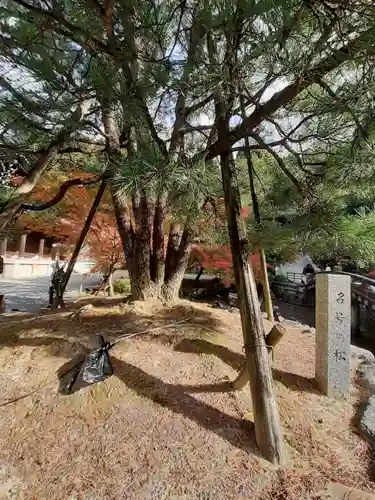 知恩院(京都府)