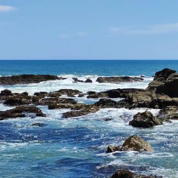 波立寺(波立薬師)の自然