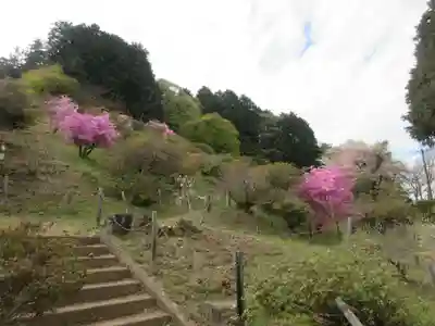 宝登山神社奥宮(埼玉県)