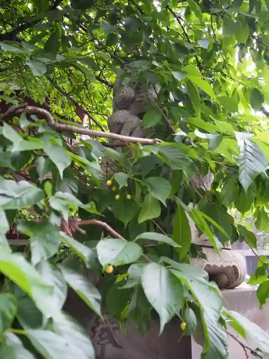 元三島神社(東京都)