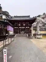 岡寺(龍蓋寺)(奈良県)
