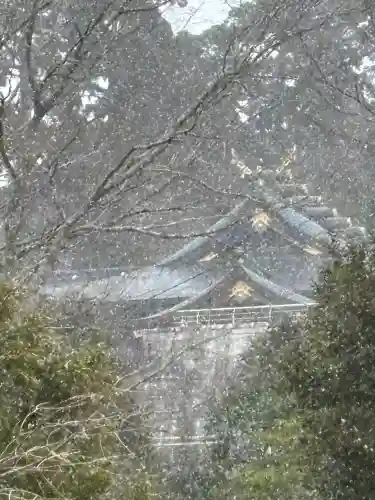秋葉山本宮 秋葉神社 上社の{uncategorized: "未分類", other: "その他", undefined: "問題あり", building: "その他建物", grave: "お墓", sacred_gate: "鳥居", guardian: "狛犬", statue: "像", buddha: "仏像", history: "歴史", nature: "自然", garden: "庭園", animal: "動物", pagoda: "塔", temizu: "手水舎", mountain_gate: "山門・神門", sanctuary: "本殿・本堂", subordinate: "末社・摂社", art: "芸術", scenery: "景色", jizo: "地蔵", ema: "絵馬", goshuin: "御朱印", omikuji: "おみくじ", items: "授与品その他", amulet: "お守り", goshuincho: "御朱印帳", eats: "食事", festival: "お祭り", votive_dance: "神楽", shichigosan: "七五三参", wedding: "結婚式", experience: "体験その他", initially: "初詣", around: "周辺", anti_infection: "感染症対策"}