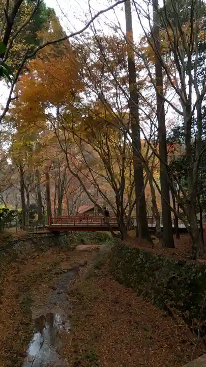 勝手神社(京都府)