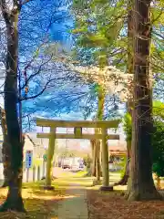 岡見八坂神社の鳥居