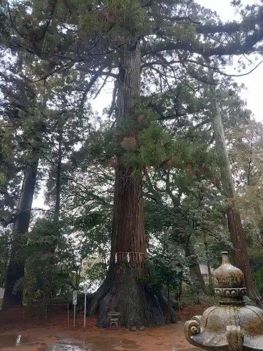 側高神社(千葉県)