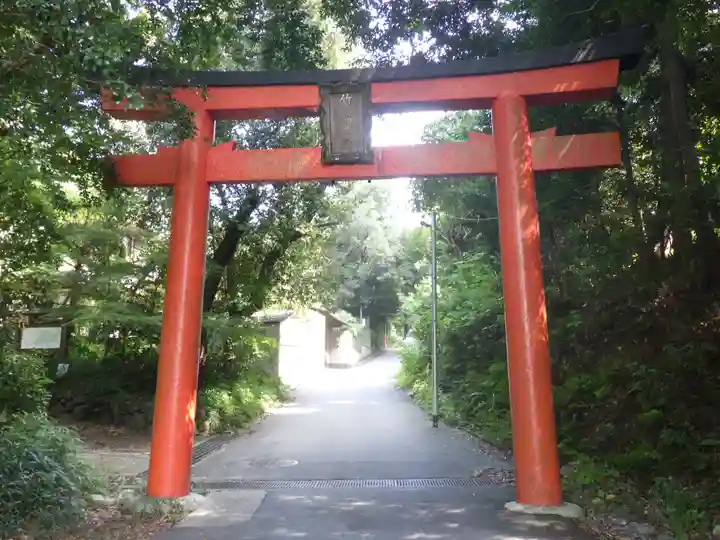 竹中稲荷神社(吉田神社末社)の鳥居