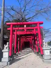 金井神社の鳥居