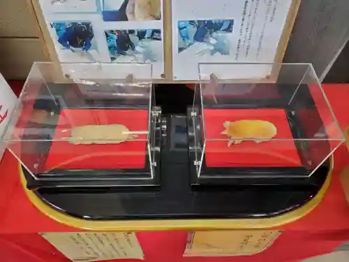 下野 星宮神社(栃木県)