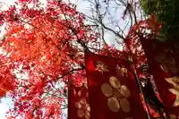 鹿島大神宮の景色