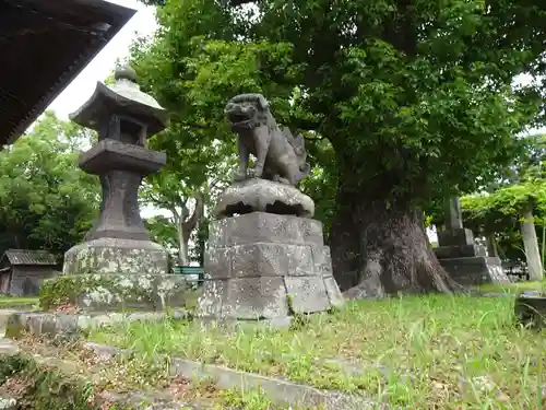 草木八幡神社の狛犬