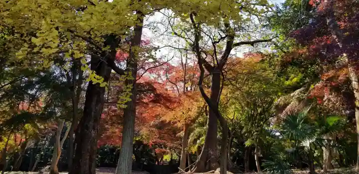 総寧寺の自然