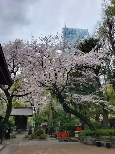 熊野神社(東京都)