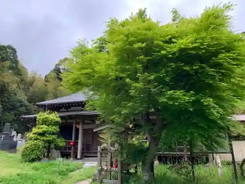 東長寺のその他建物