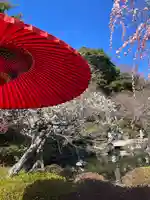 長谷寺の庭園