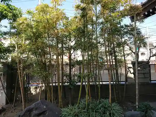 九品寺のその他建物