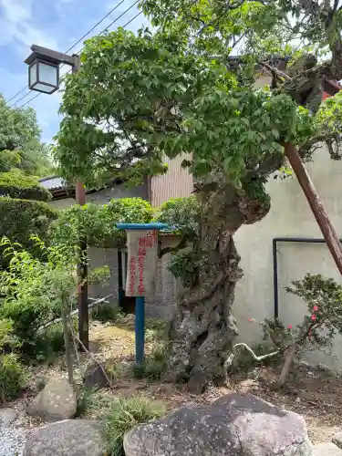 音楽寺(埼玉県)