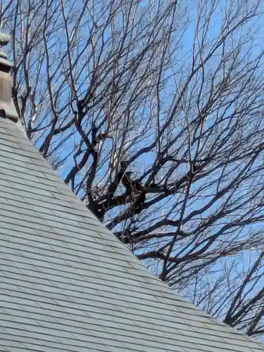 本性寺(東京都)