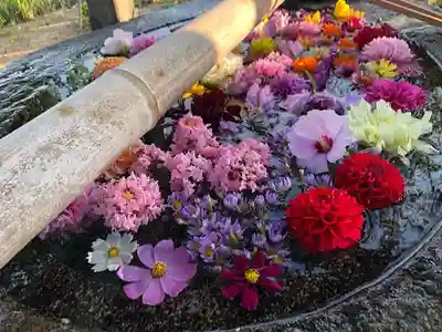 春日神社の手水舎