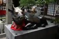 錦天満宮の狛犬