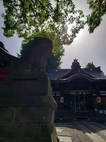 滝野川八幡神社(東京都)