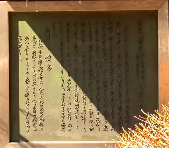 白山神社(東京都)