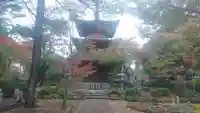 豪徳寺の塔
