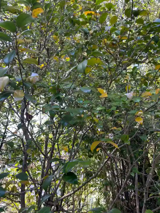 平岡八幡宮(京都府)