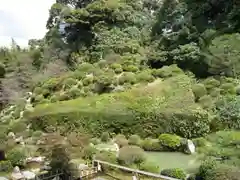 根来寺 智積院の庭園