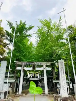 金村別雷神社(茨城県)