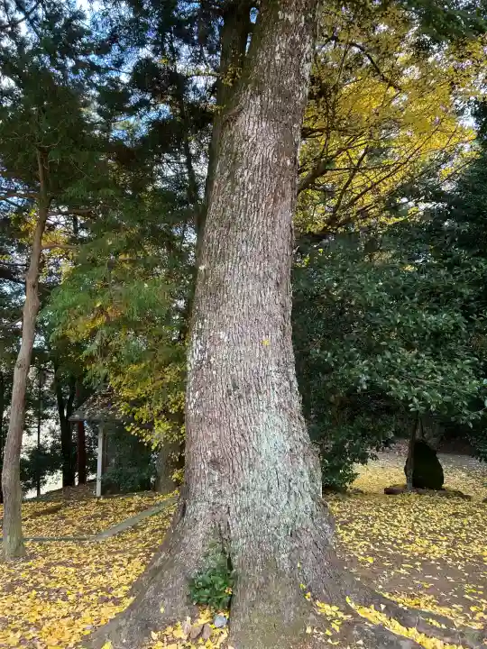 感神社(兵庫県)