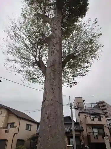香取神社(千葉県)