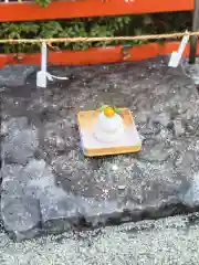 賀茂御祖神社（下鴨神社）の初詣